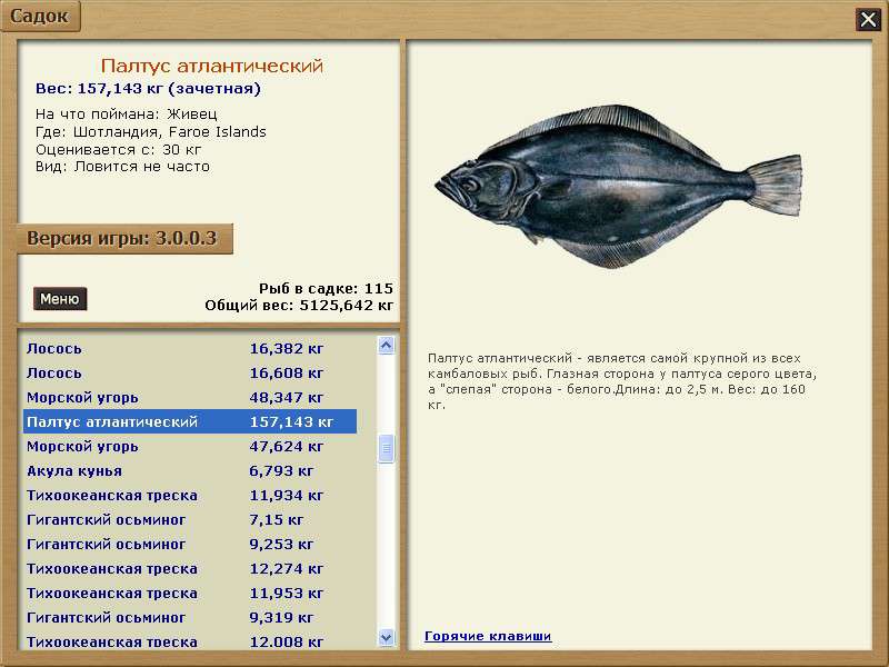 Максимальный вес рыб. Палтус рыба максимальный вес. Самый крупный палтус. Палтус рыба вес. Палтус максимальный размер.