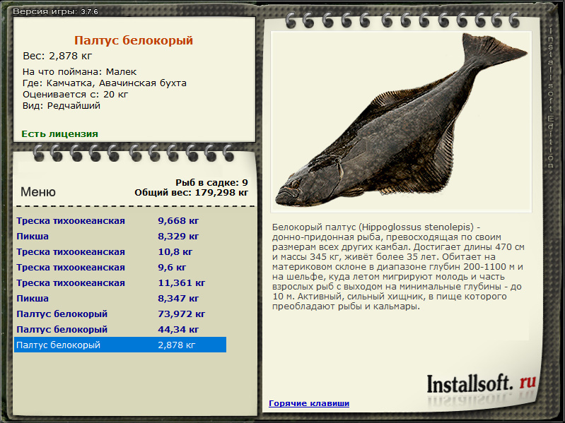 Рыба палтус описание. Палтус. Палтус рыба. Палтус рыба вес. Палтус Размеры.