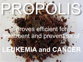 propolis against leukemia and cancer