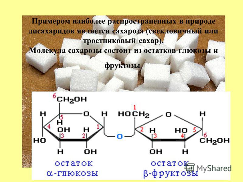 Молекула сахарозы. Дисахарид Глюкозы и фруктозы. Образование сахарозы.