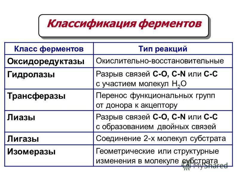 Ферментами являются соединения. Классы фермента Тип реакции. Классификация ферментов. Классификация ферментов таблица. Классификация ферментов биохимия.