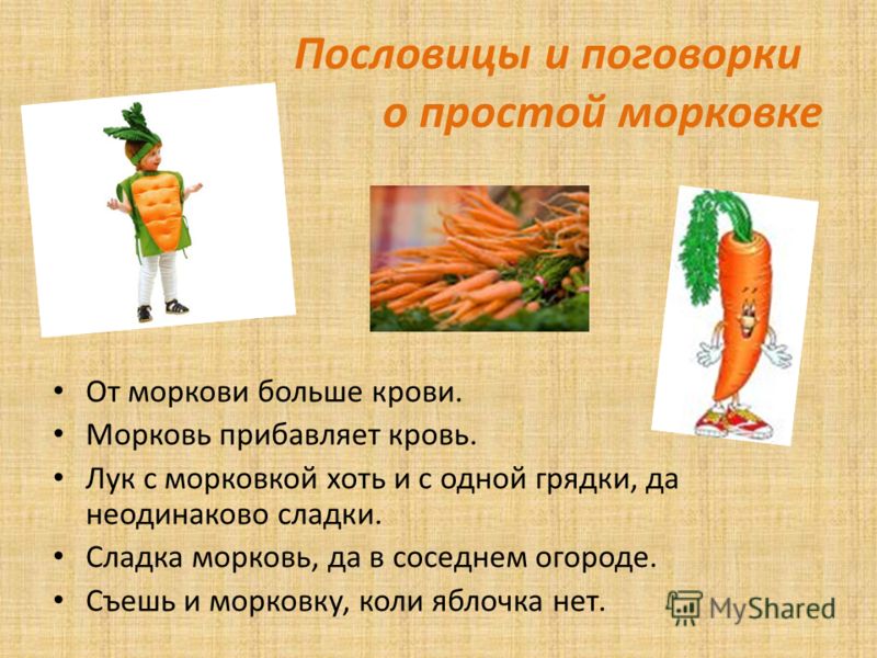Морковь относится к группе. Пословицы про морковку. Презентация на тему морковь. Морковь для презентации. Интересные морковки.