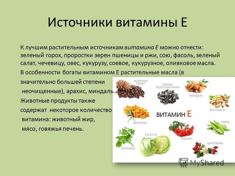 Где витамин е в каких продуктах. Витамин е растительные источники. Источники витамина e. Основные источники витамина е. Витамин е содержится в.