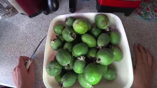 ananasovaya-guava