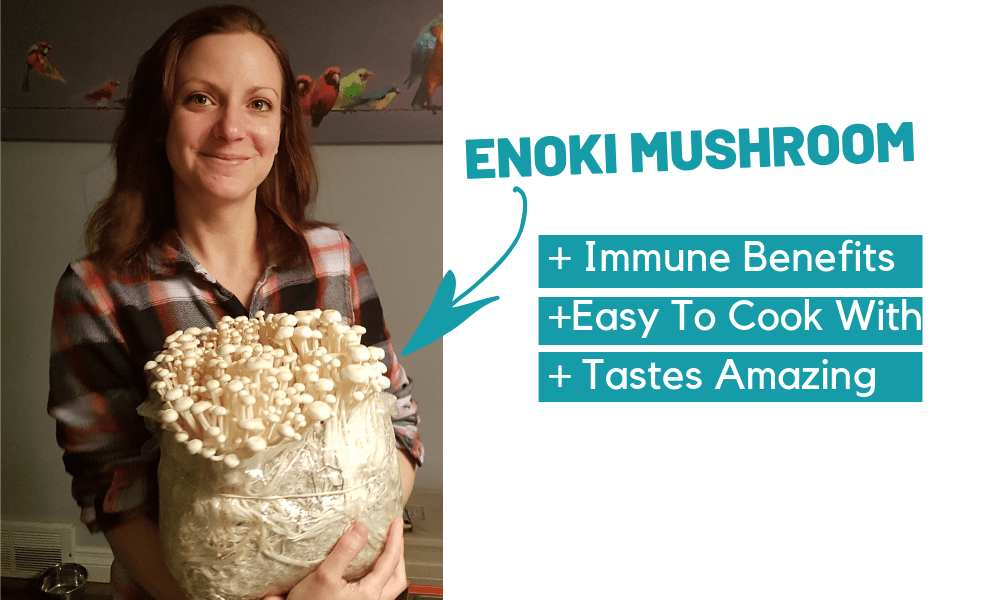 enoki-mushroom-benefits