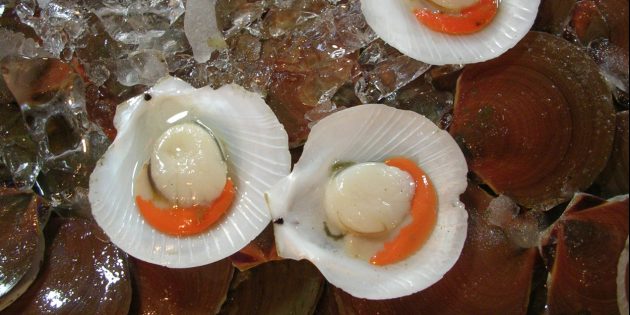 В каких продуктах содержится железо: устрицы, мидии и другие моллюски