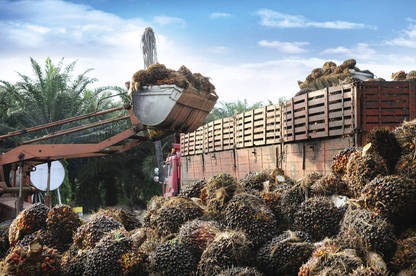 16mar palm oil process