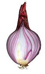 Red onion cut.jpg