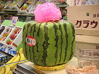 Square watermelon.jpg