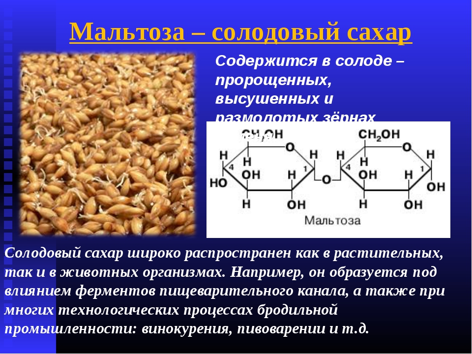Пшеничные ферменты. Мальтоза солодовый сахар. Мальтоза биороль. Мальтоза содержится в. Мальтоза это углевод.