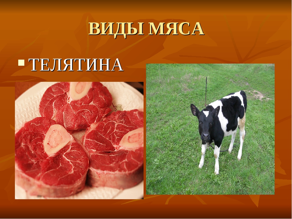 5 видов мяса. Виды мяса. Виды мяса животных. Мясо по виду убойных животных. Назовите виды мяса.