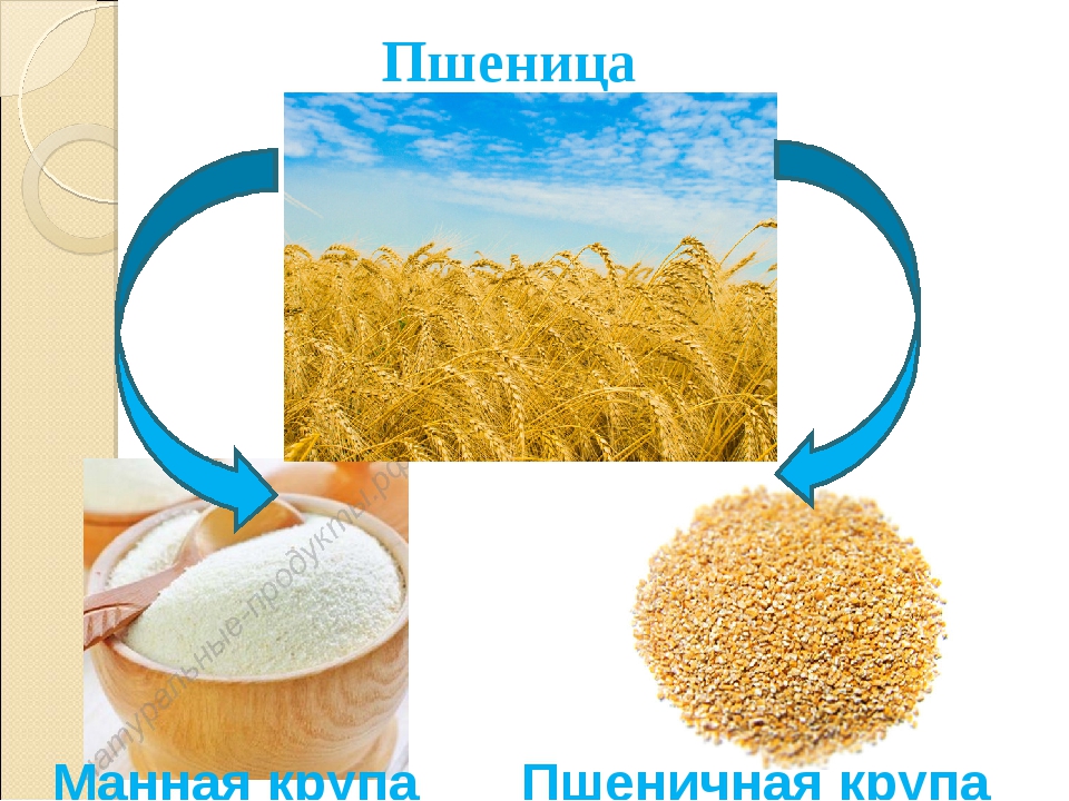 Пшеничная из чего делают