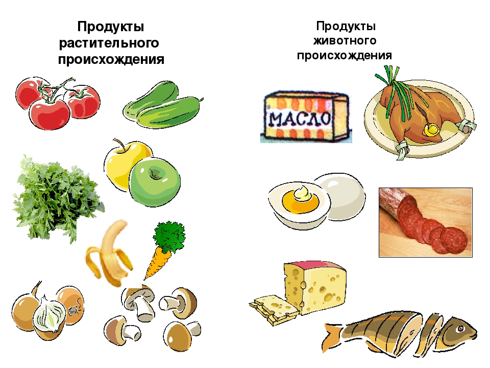 Как называется способ изображения продуктов питания. Продукты растительного происхождения. Продукты растительного и животного происхождения. Пища растительного происхождения. Растительное происхождение продуктов.