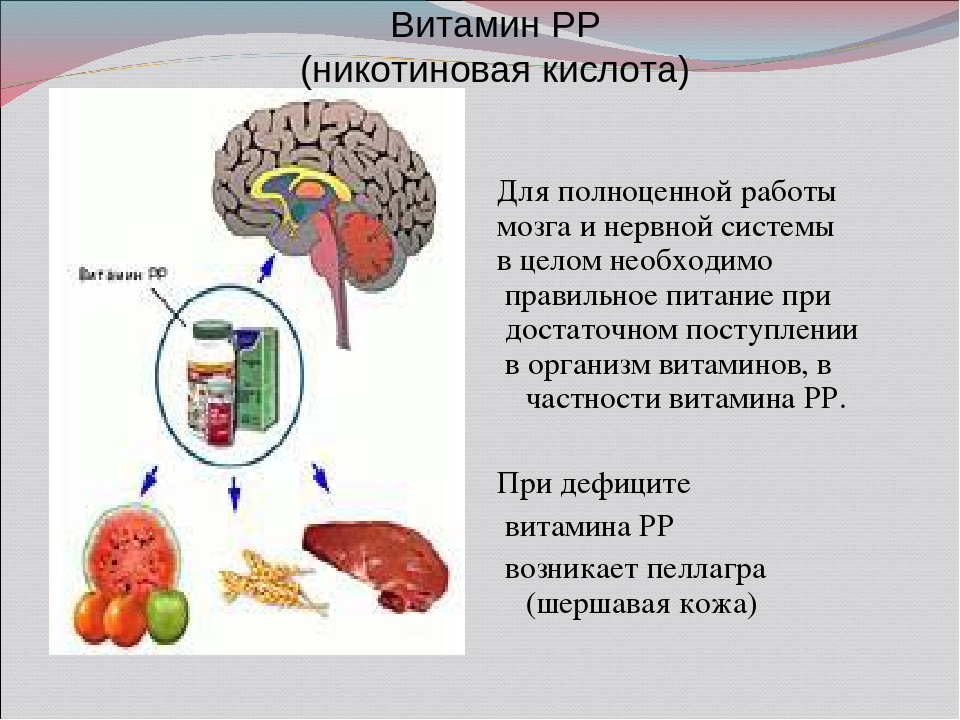 Витамины для нервной системы. Витамины для мозга и нервной системы. Витамины отвечающие за нервную систему. Витамины для восстановления нервной системы.