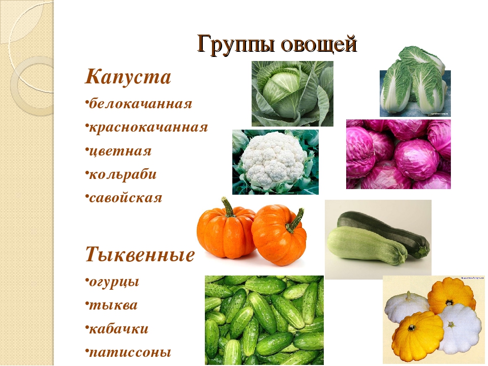Овощ входящий в состав. Классификация овощей-капустные овощи. Классификация капустных овощей. Капустная группа овощей. Классификационная группа капустных овощей.