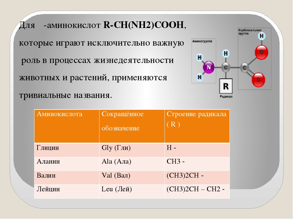 Аминокислоты химия 10 класс презентация. Аминокислоты презентация. Аминокислоты класс соединений. Таблица основных аминокислот. Аминокислоты по химии.