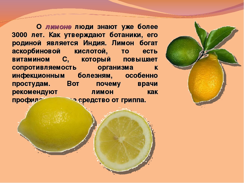 Фрукт 2 класс. Презентация на тему лимон. Доклад о лимоне. Лимон для презентации. Презентация про лимон для дошкольников.