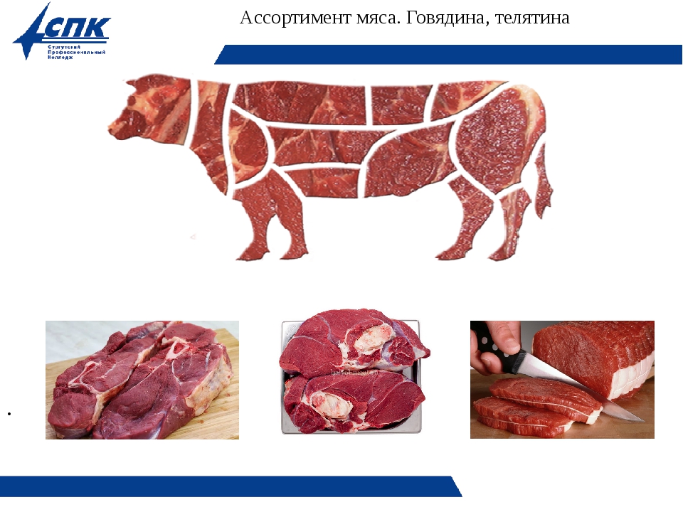 Чем отличается мясо. Телятина говядина отличие. Телятина от говядины. Как отличить говядину от телятины. Мясо телятины и говядины отличие.