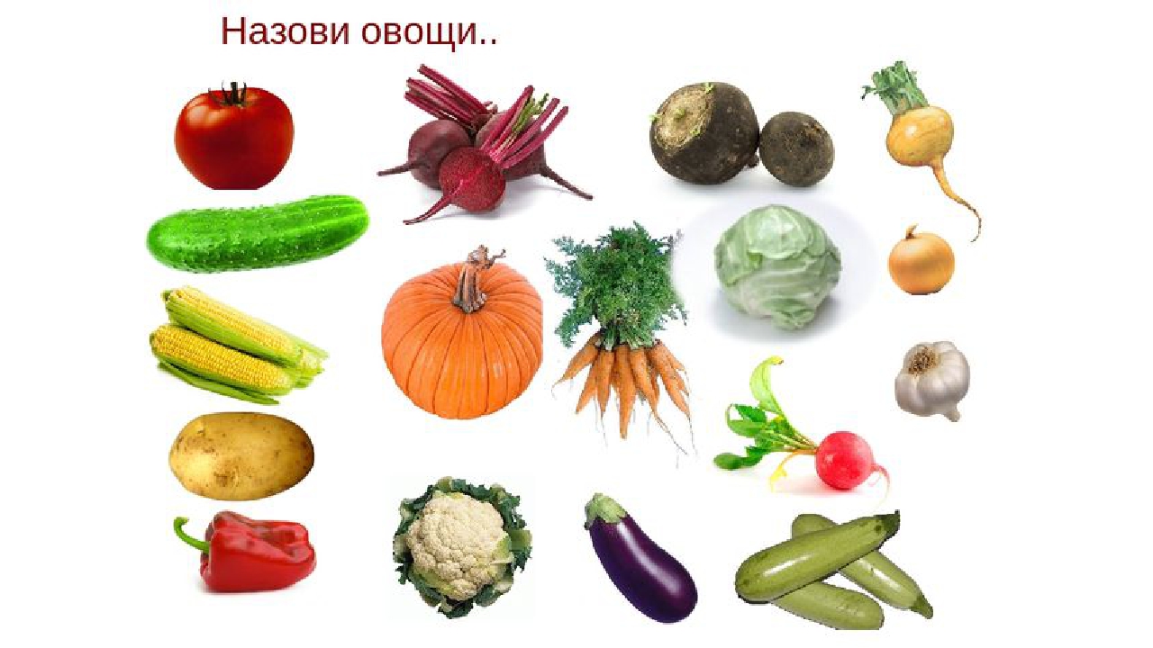 Что называют овощами. Овощи названия. Обобщающие понятия овощи. Разновидности овощей. Овощи всех видов.