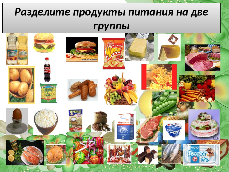 Виды продуктов. Деление продуктов питания на группы. Разделить продукты на группы. Разделение продуктов питания.