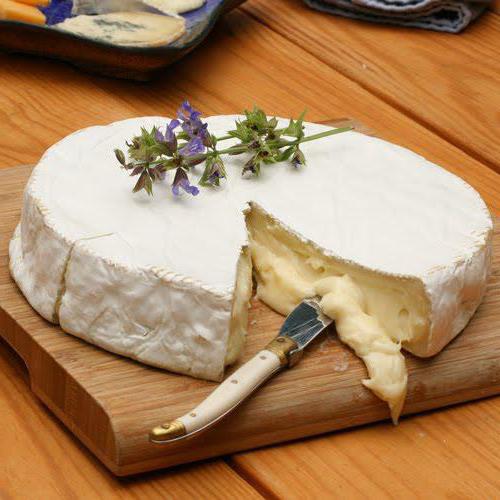 Сыр камамбер как правильно есть