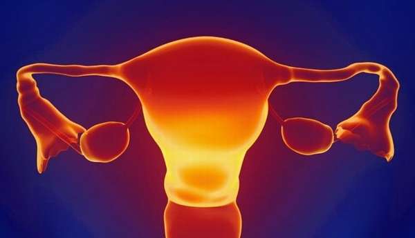 Синдром истощённых органов репродуктивной системы женщины