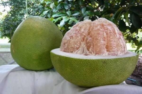 Фото: фрукт Помело в разрезе