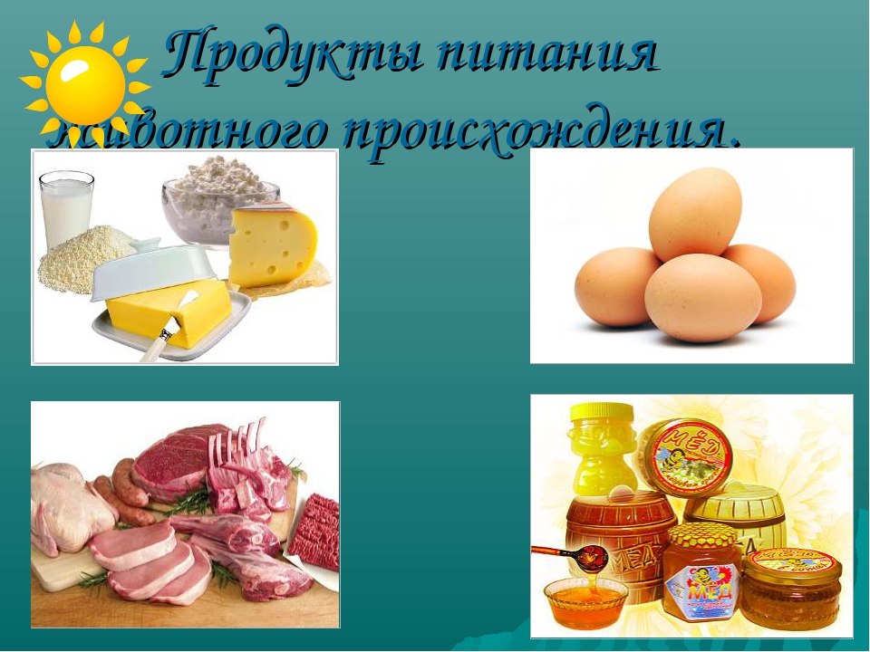 Животные продукты питания. Классификация продуктов питания. Классификация на тему продукты питания. Классификация продуктов животного происхождения. Пища по происхождению.