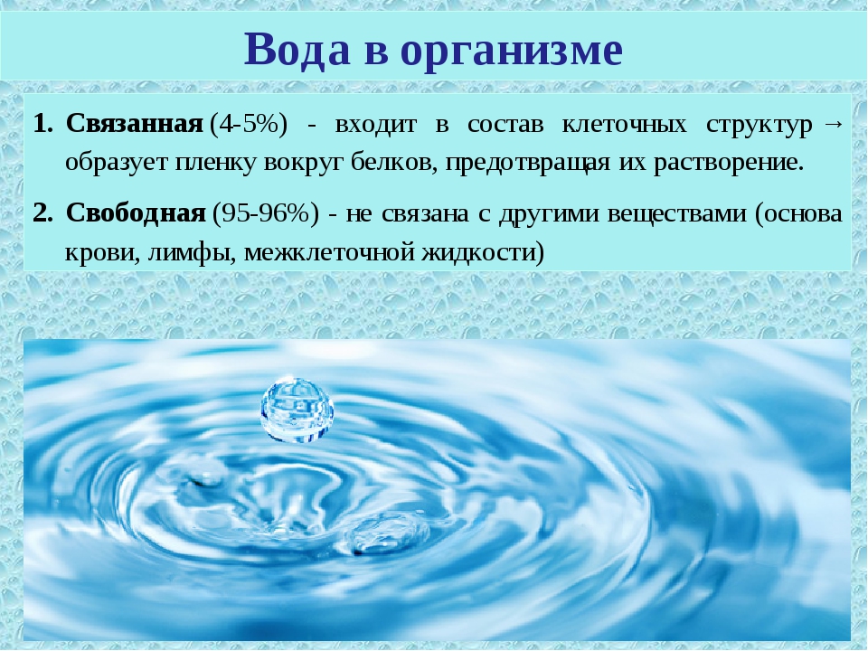 Физическая связанная вода. Связанная вода. Свободная вода и связанная вода. Профессии связанные с водой. Физически связанная вода.