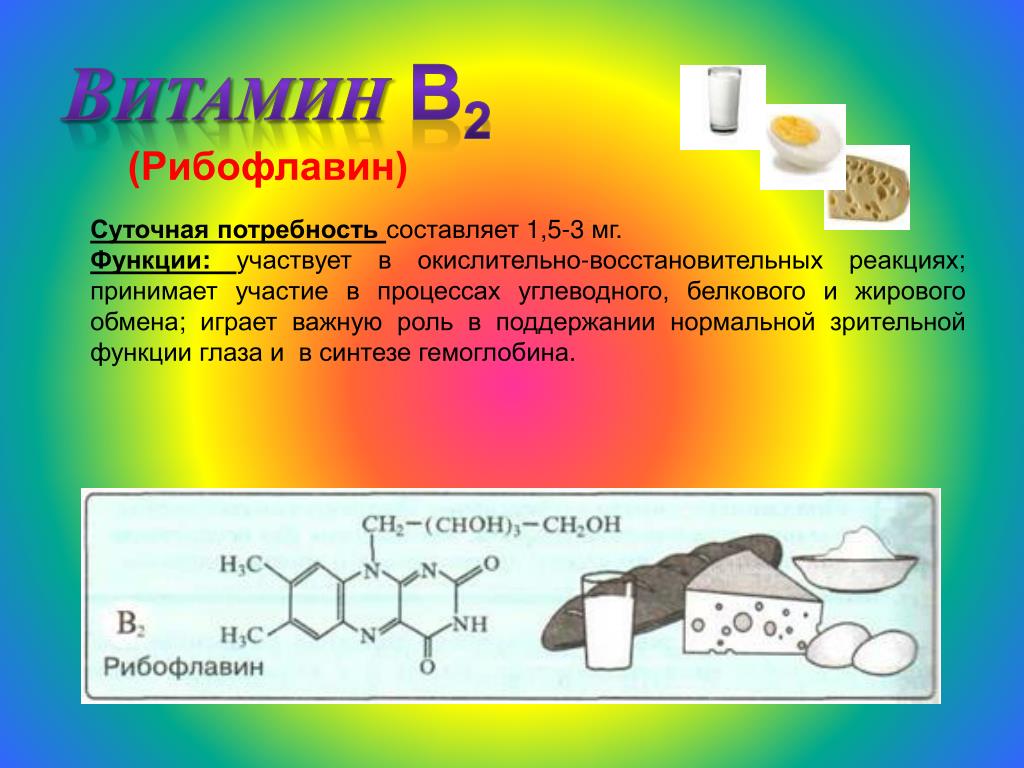 Витамин б потребность. Витамин b2 (рибофлавин) суточная потребность. Витамин в2 рибофлавин функции. Витамин б2 рибофлавин. Витамин b2 рибофлавин функции.