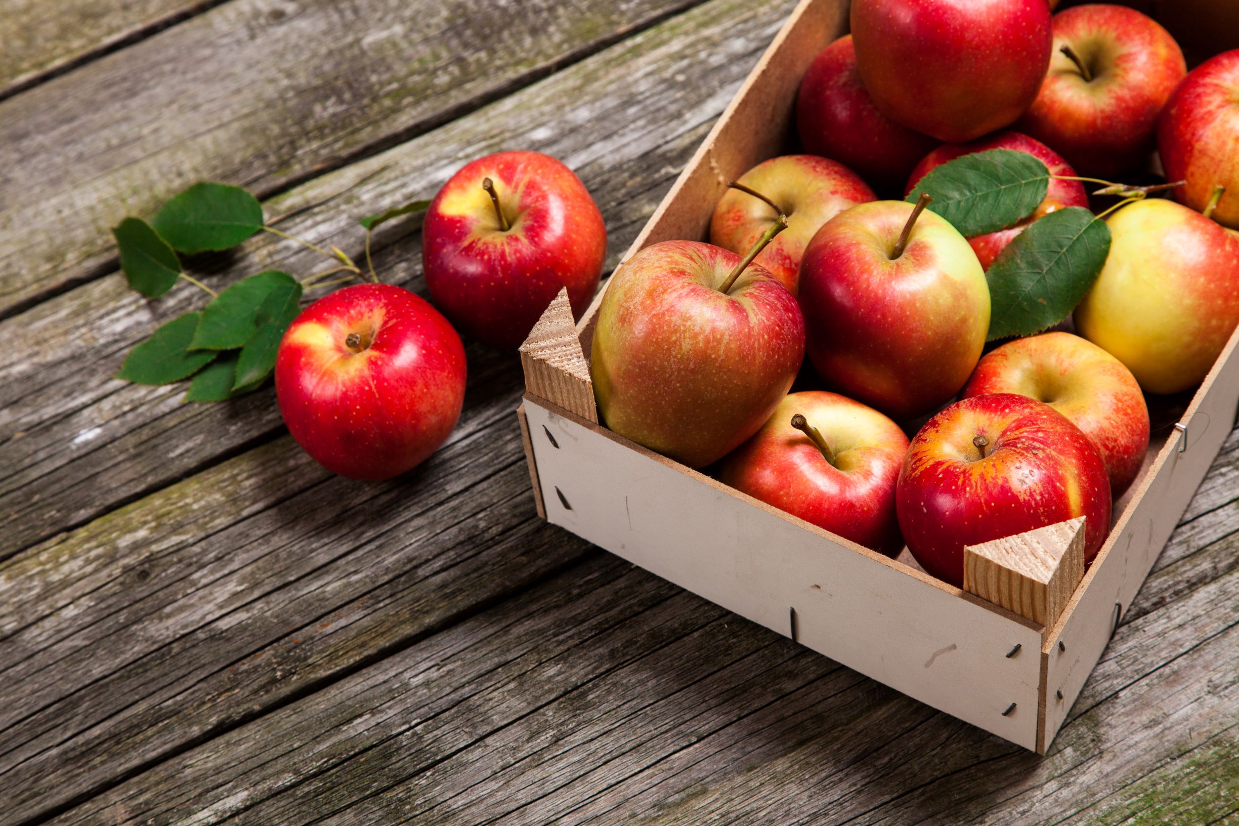 Яблоки обладают противовоспалительными свойствами и снижают уровень холестерина. 