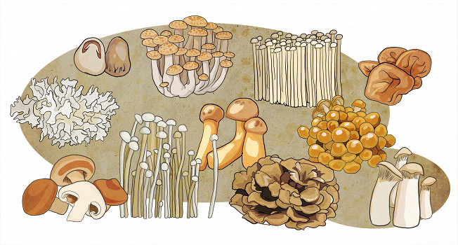 Азиатские грибы