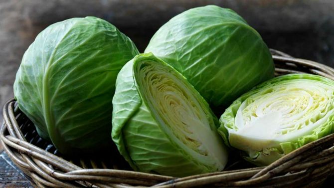 Cabbage vitamin salad