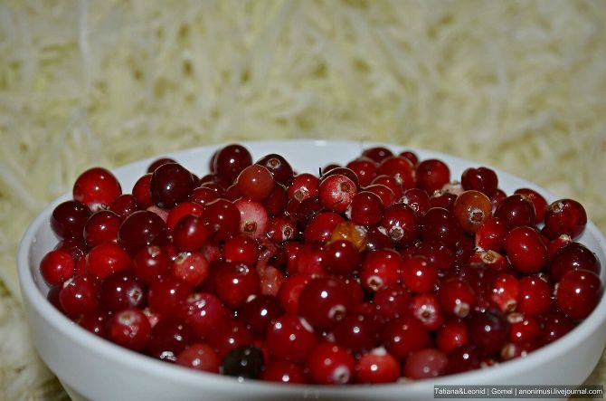 cranberries 