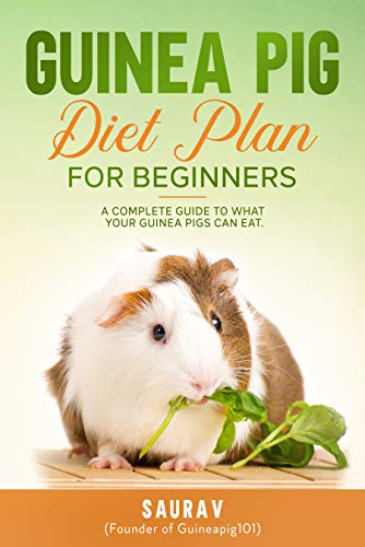 Guinea Pig Diet Plan For Beginners