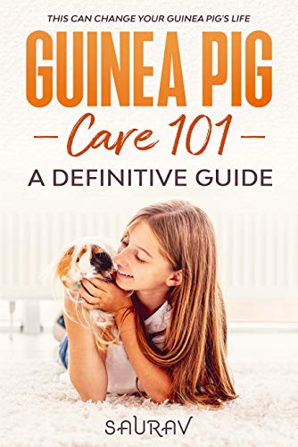 Guinea Pig Care 101: A Definitive Guide