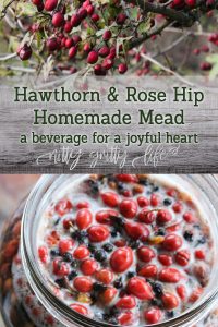 Spiced Hawthorn and Rose Hip Mea
