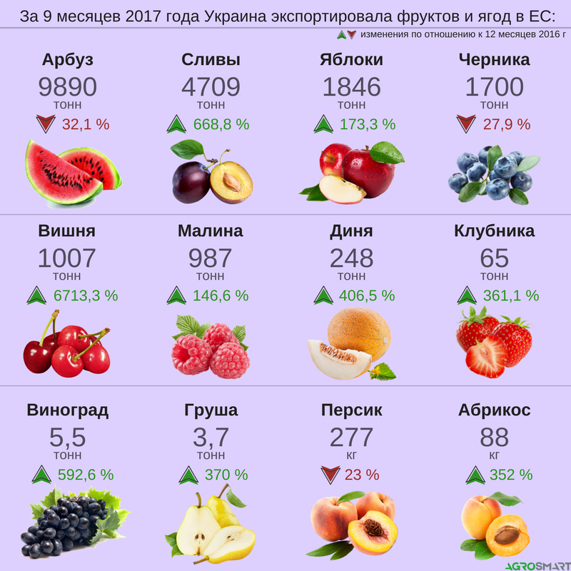 Чем отличаются фрукты. Фрукты на украинском. Перечень фруктов и ягод. Самые распространенные фрукты. Перечень сладких фруктов.