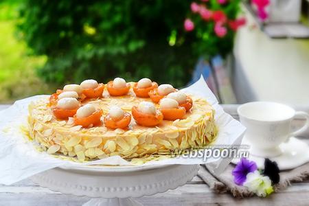 Фото рецепта Филадельфия-абрикосовый торт с марципаном