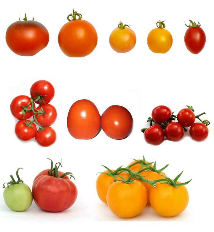 Check your seed package to see if the tomatoes are grown for sweetness or tartness.