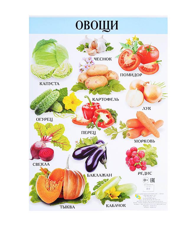 Продукты на букву а. Овощи. Плакат. Овощи плакат для детей. Плакат овощи и фрукты. Обучающий плакат овощи.