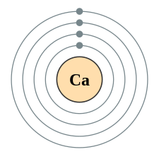 Electron shell 020 Calcium - no label.svg