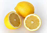 Citrus limon a.JPG