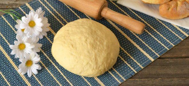Дрожжевое тесто для пирожков в хлебопечке – рецепт