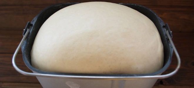 Тесто в хлебопечке для пирожков в духовке