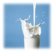 lactose-intollerance-diet