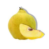 quince-fruit-2