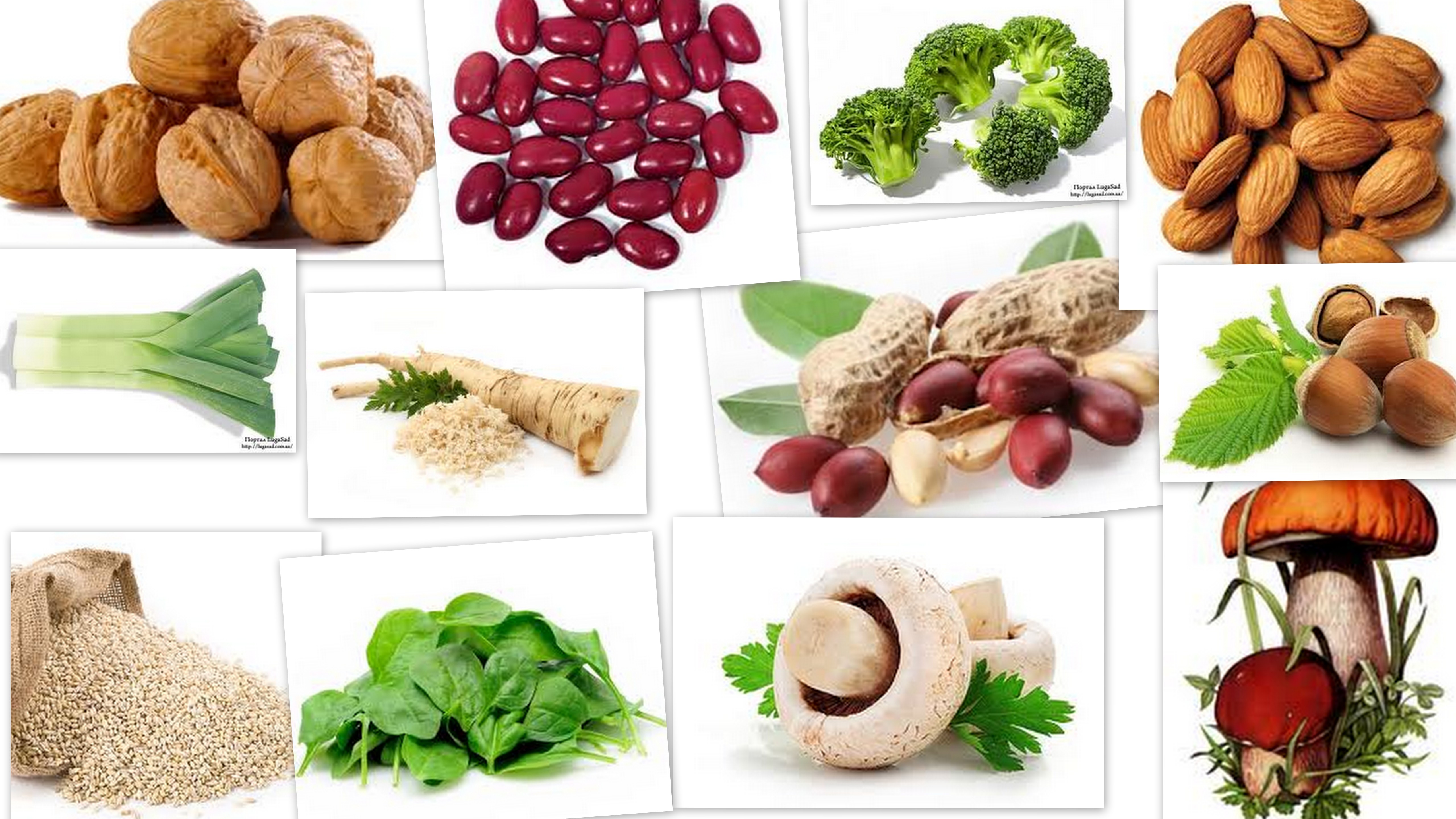 Витамин b9 продукты. Продукты питания. Продукты для нервной системы. Источники витамина в9 в продуктах питания. Витамины для нервной системы в еде.