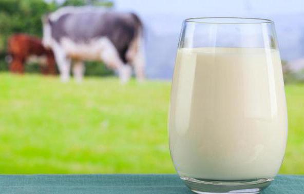 состав и свойства коровьего молока