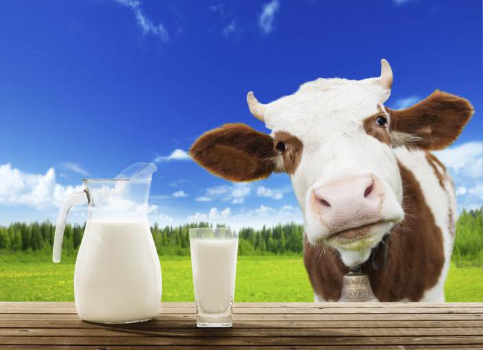 состав белка молока коровьего